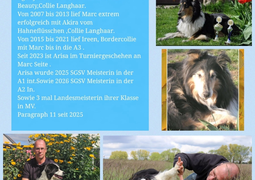Bild Galerie Hero