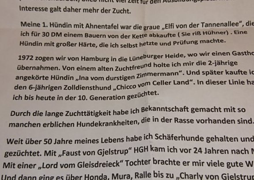 Bild Galerie Hero