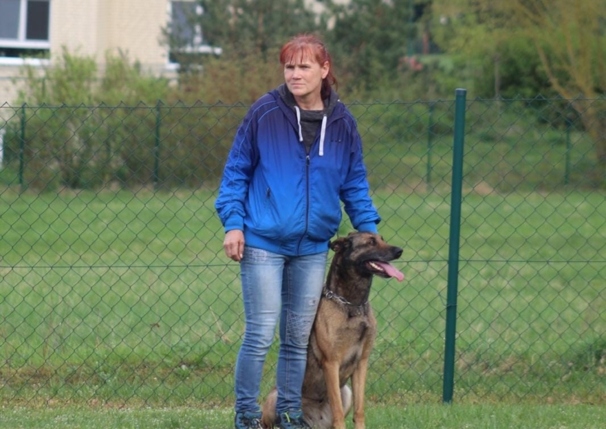 Bild Galerie Hero