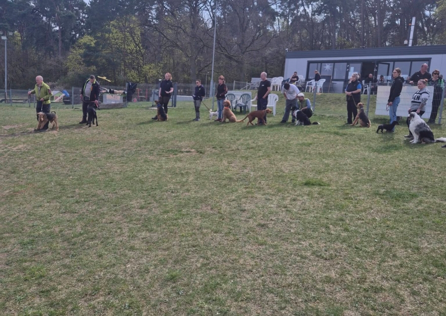 Bild Galerie Hero